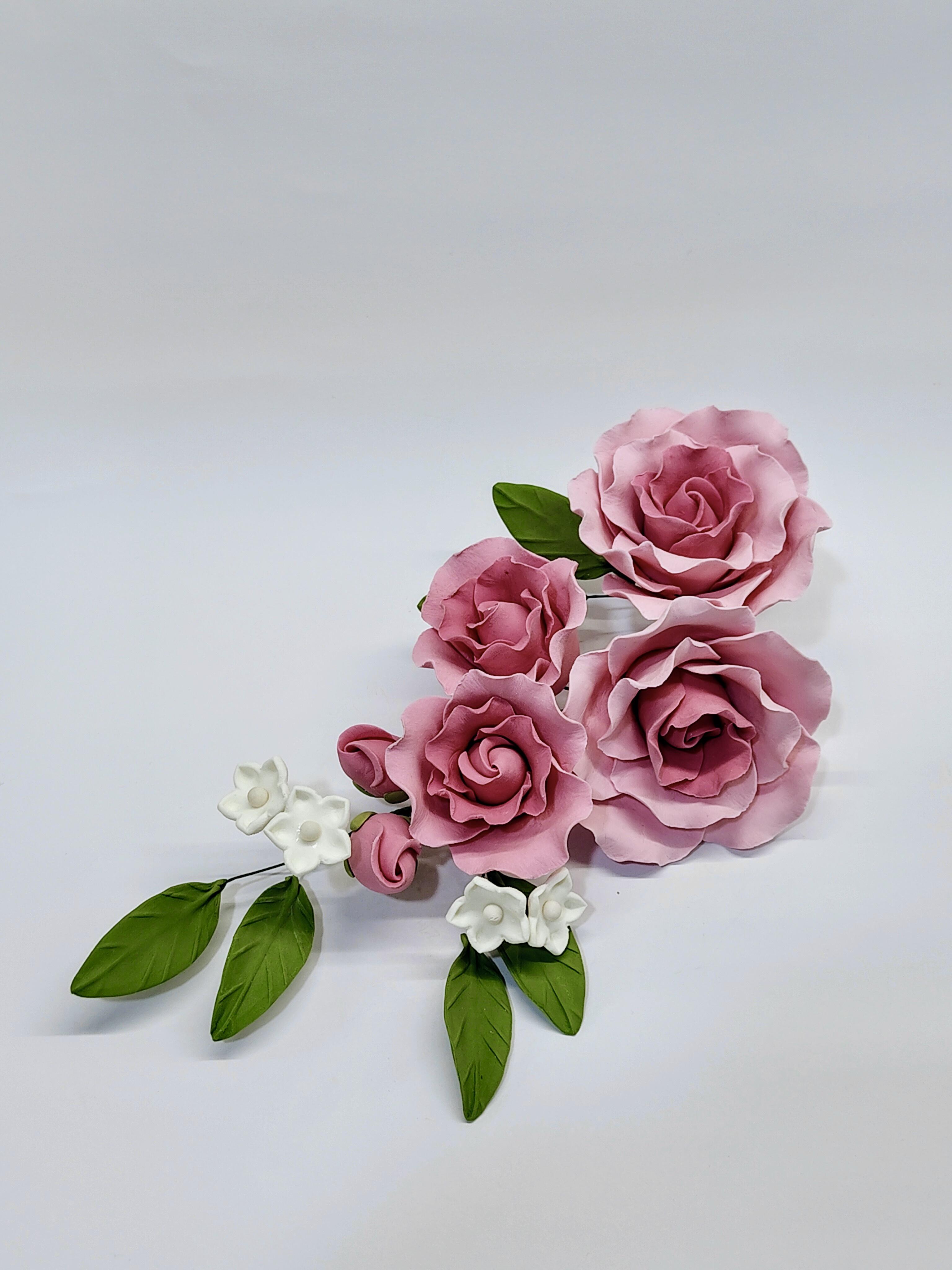 523 - PRAU5 (Arrangement)